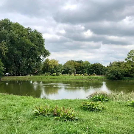 Beautiful In Mokotow Near Krolikarnia Park